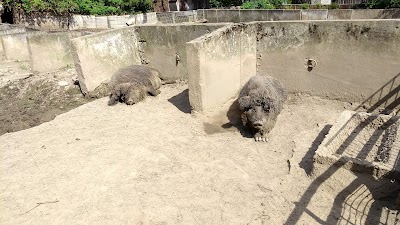 Photos of Kr&uuml;zen Zoo