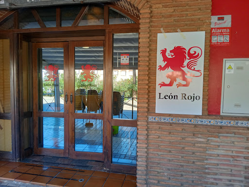 León Rojo - Visual
