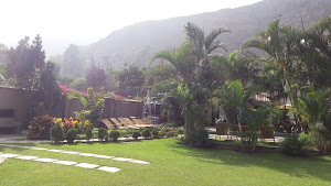 Los Girasoles de Santa Eulalia 0