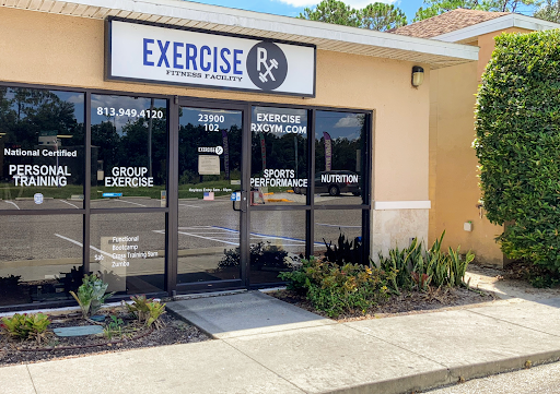Exercise Rx - Lutz - Visual