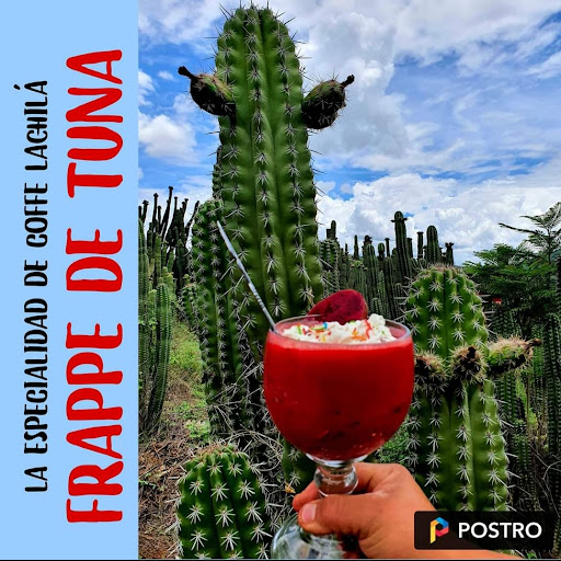 caffe restaurant lachila - Thumbnail