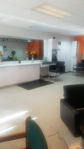 Virtuous Salon - Thumbnail