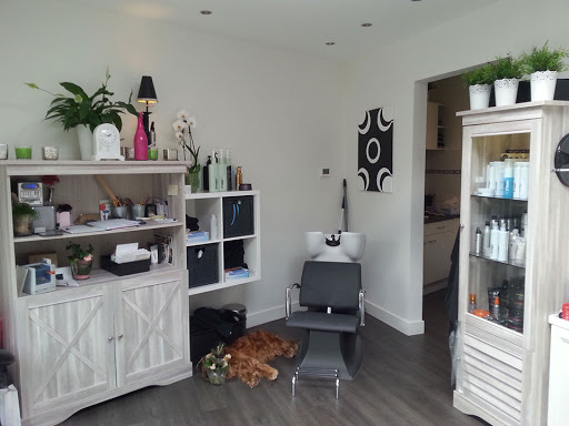 Linda Combi Hair - Thumbnail