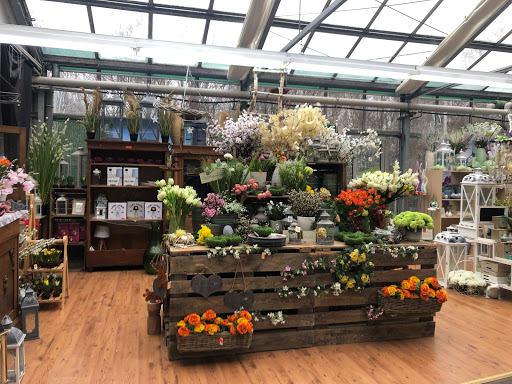 BHG Handelszentren - Baumarkt und Gartencenter - Thumbnail