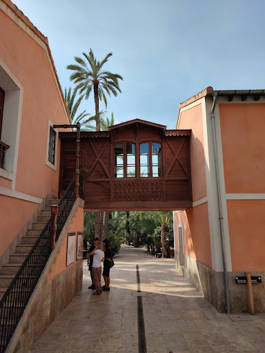 Museo del Palmeral - Thumbnail