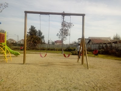 Photos of Los Chirigues 1101