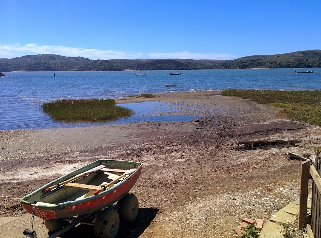 Hog Island Oyster