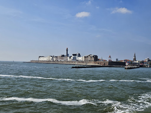 Zeehondensafari & Rondvaart Zeeland - Thumbnail