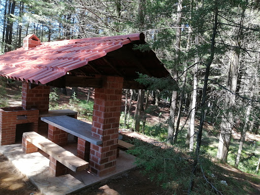 Proyecto de parque