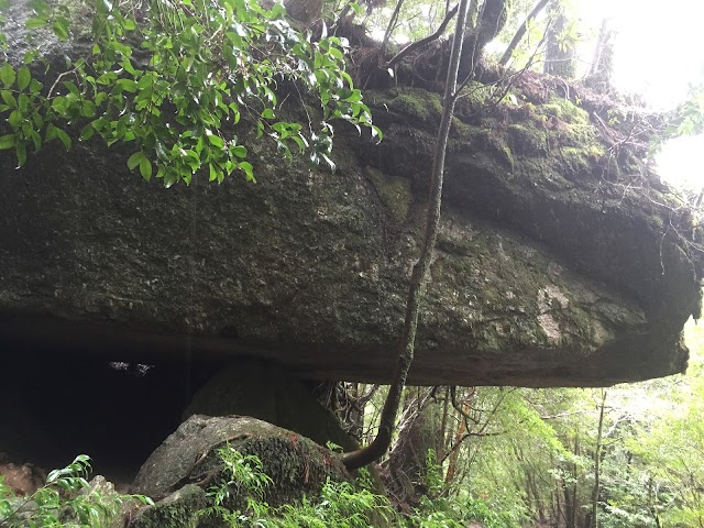 Yakushima National Park