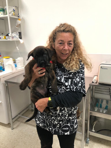 Veterinario en Málaga | Clínica Veterinaria Jardín de la Abadía