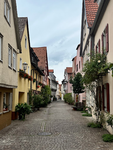 Mainwiesen - Visual