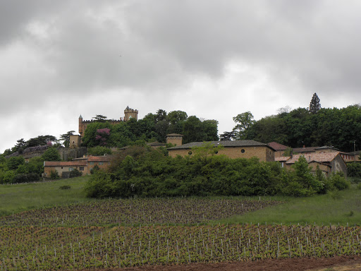 Photo de Résidence La Clairière à Saint-Lager (69220)