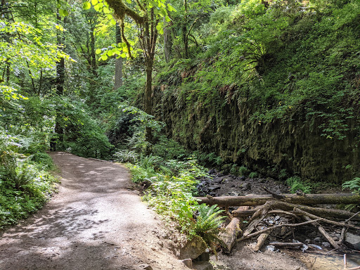 Macleay Park - Visual