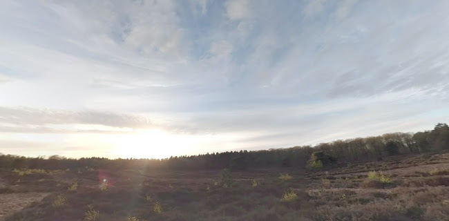 Vijverweg, Punthorst