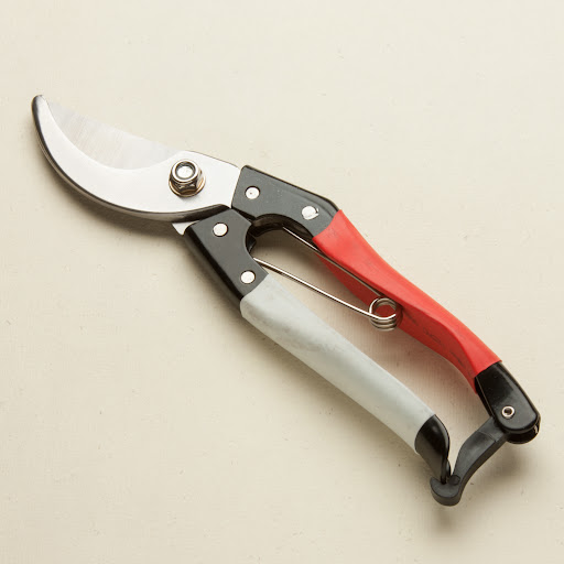Japeto Ltd - Visual