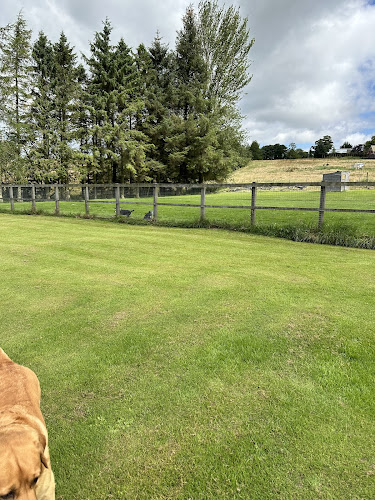 Premier Pet Services, Dog Walking & Pet Boarding