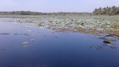 Photos of Eliya Diwulwewa Tank