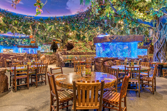 Rainforest Cafe by null
