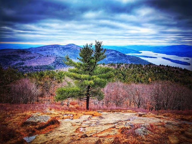 Buck Mountain Trailhead