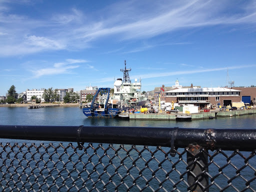 WH Ferry - Visual