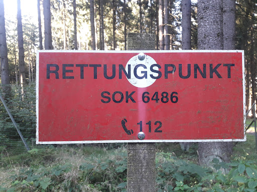 Waldkreuzung "Stern" - Thumbnail
