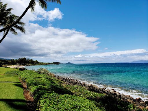Maui Vision Rentals