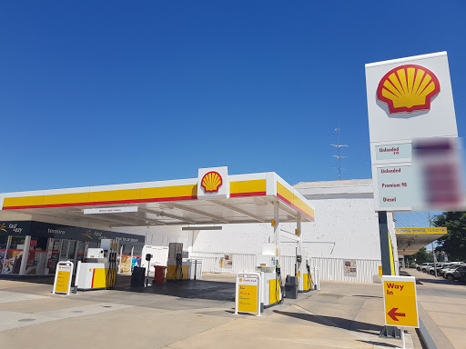 Shell Temora - Thumbnail