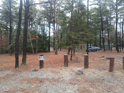 Camp Squanto - Visual