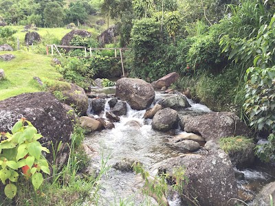 Photos of Charco De Las Palomas