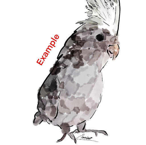 PetPortraitsByEvey - Thumbnail