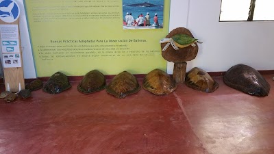 Photos of Whale Museum of Samana / Nature Center