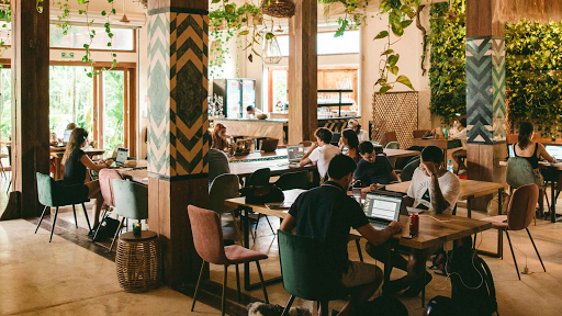 Digital Jungle | Coworking in Tulum