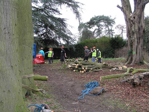 site_photo4