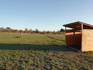 Photo n°11 de EARL les Ecuries de la Borde - Poney Club - pension chevaux de propriétaires - élevage - SAUMUR à Neuillé (Éleveur de chevaux)