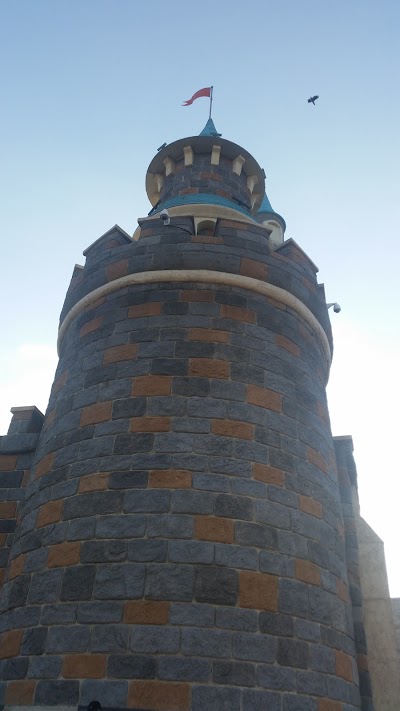 Photos of D&R Vialand