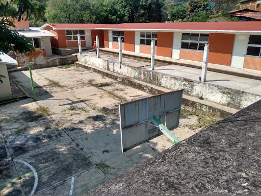 Escuela primaria "Carlos Hank Gonzáles" Logo