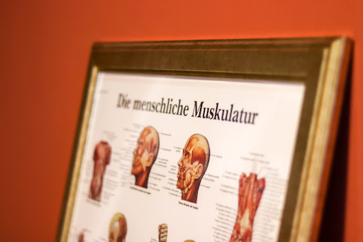 Physiotherapie Maai - Thumbnail