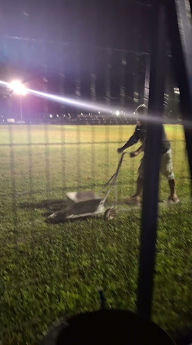 Opiniones de Cancha Santa Ana F.C en Talca - Campo de fútbol