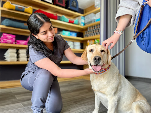 Clínica Veterinaria Mokay