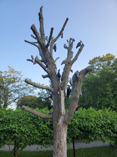 Nature Play - Visual