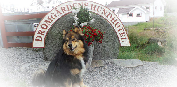 Drömgårdens Hundhotel Gransjöåsvägen 101, 438 92 Härryda, Sverige