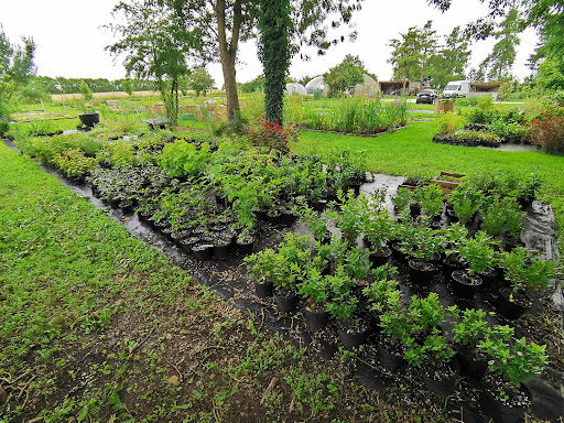 Vivien Jardin - Thumbnail