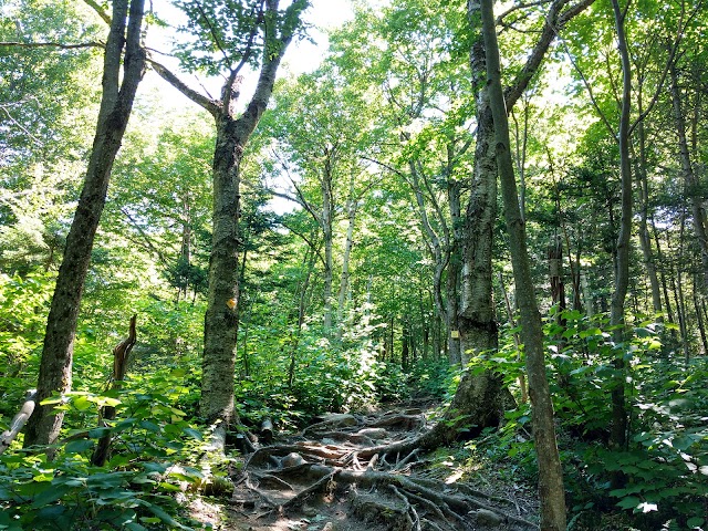 Parc d'environnement naturel de Sutton