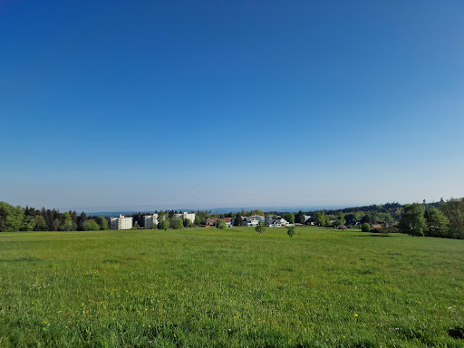 Aussichtsturm "Alter Wasserturm" - Thumbnail