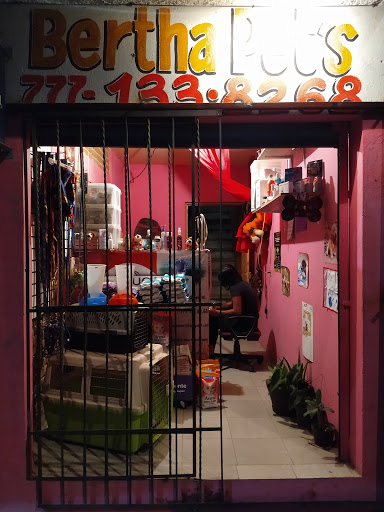 Bertha Pet's - Visual