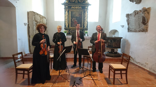Opinie o Lubuski Kwartet Filharmonii Zielonogórskiej w Zielona Góra - Inny