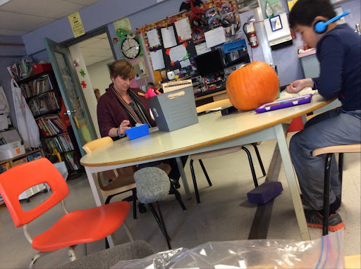 Steve MacLean Public School - Thumbnail