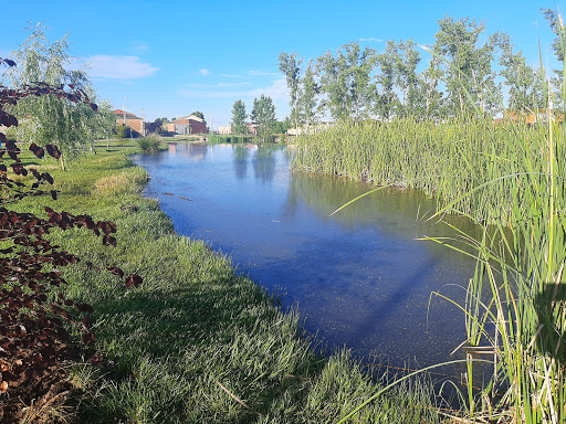 Laguna de Zotes