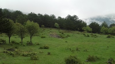 Photos of Beypazarı Depelarkası Kayışın G&ouml;l